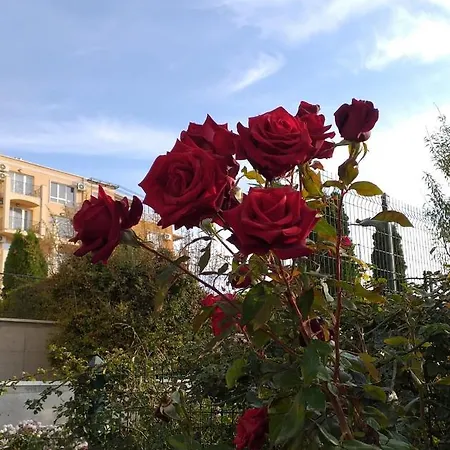 Морски Апартамент Вили Apartment *